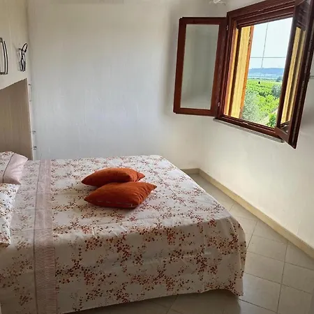 Juniperus Porto Pino