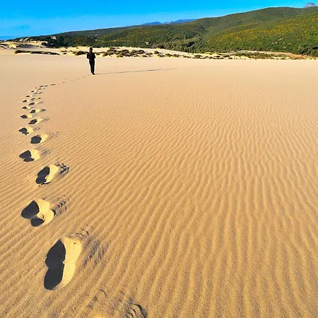 Juniperus Porto Pino * SantʼAnna Arresi