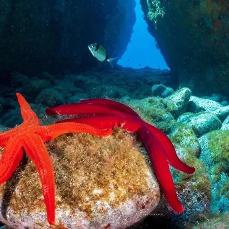 Villa Juniperus Porto Pino SantʼAnna Arresi