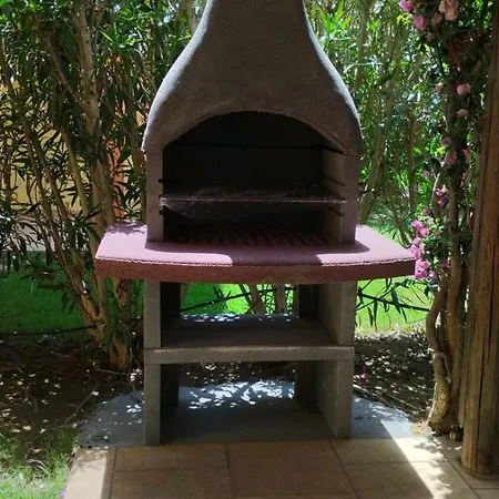 Juniperus Porto Pino SantʼAnna Arresi