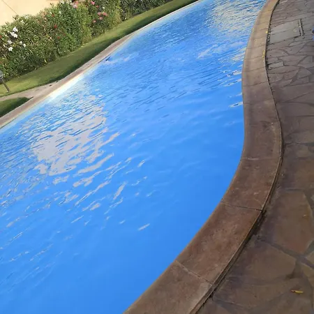 Juniperus Porto Pino SantʼAnna Arresi