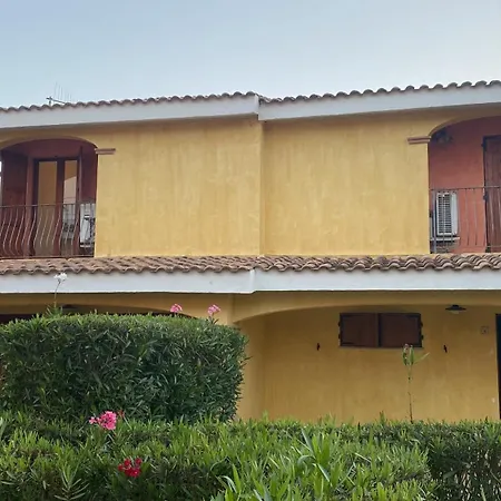 Juniperus Porto Pino