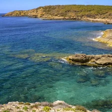 Juniperus Porto Pino
