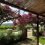 Juniperus Porto Pino