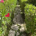 Juniperus Porto Pino Villa *