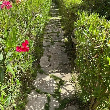 Juniperus Porto Pino 빌라 *