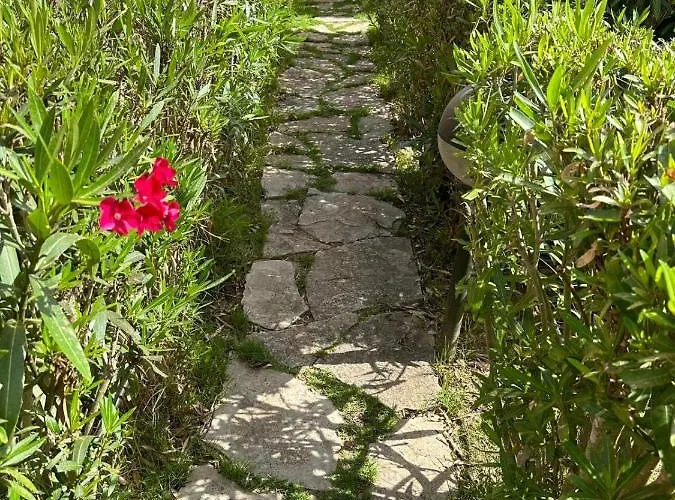 Juniperus Porto Pino Villa *