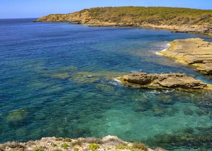 Juniperus Porto Pino